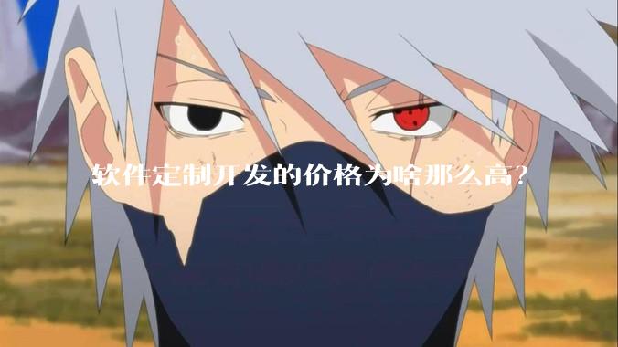 软件定制开发的价格为啥那么高？