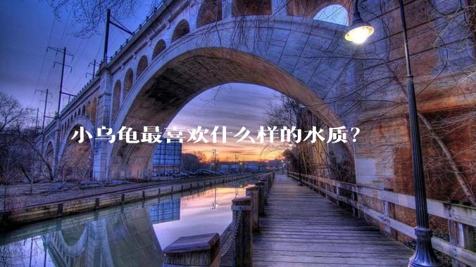 小乌龟最喜欢什么样的水质？