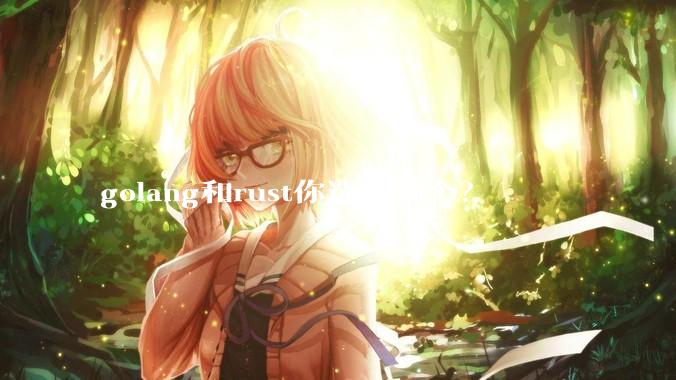 golang和rust你选择哪个？