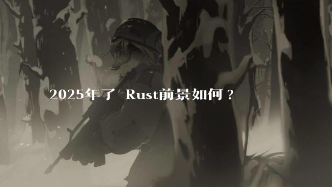 2025年了 Rust前景如何?