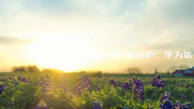 炸锅！2025中国科技50强出炉：华为第一，AI黑马碾压宁德时代_DeepSeek_榜单_领域