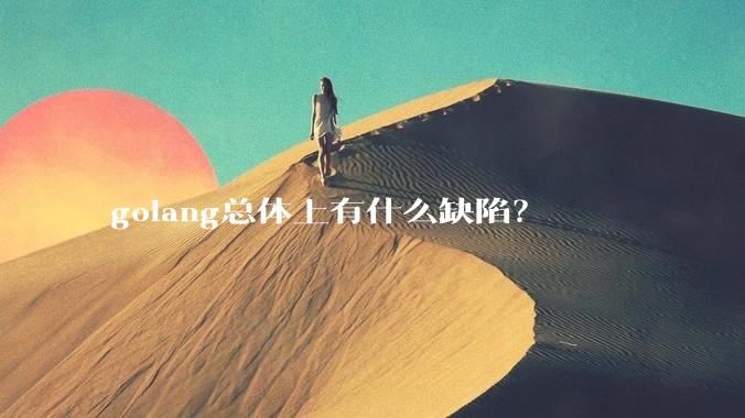 golang总体上有什么缺陷？
