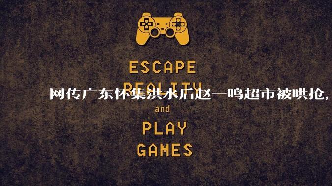 网传广东怀集洪水后赵一鸣超市被哄抢，县***回应相关单位正在核实，若属实哄抢者该承担哪些法律责任？