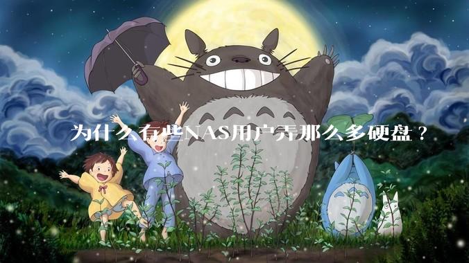 为什么有些NAS用户弄那么多硬盘?