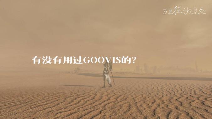 有没有用过GOOVIS的？