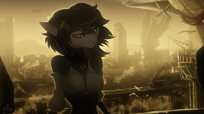 你理想中的完美户型长什么样？