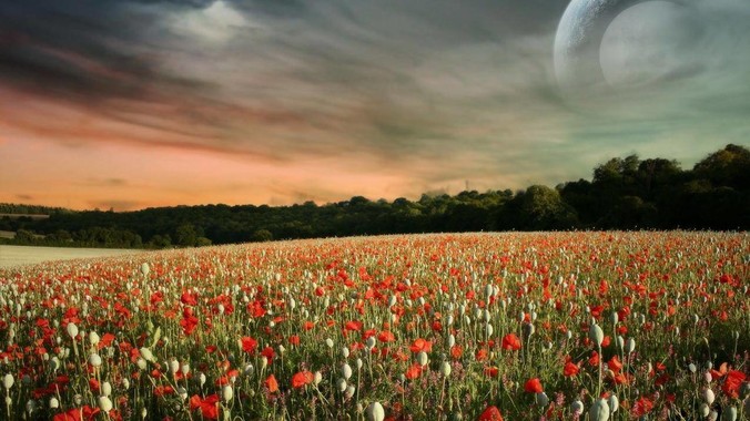 为什么桂林的旅游做不起来？